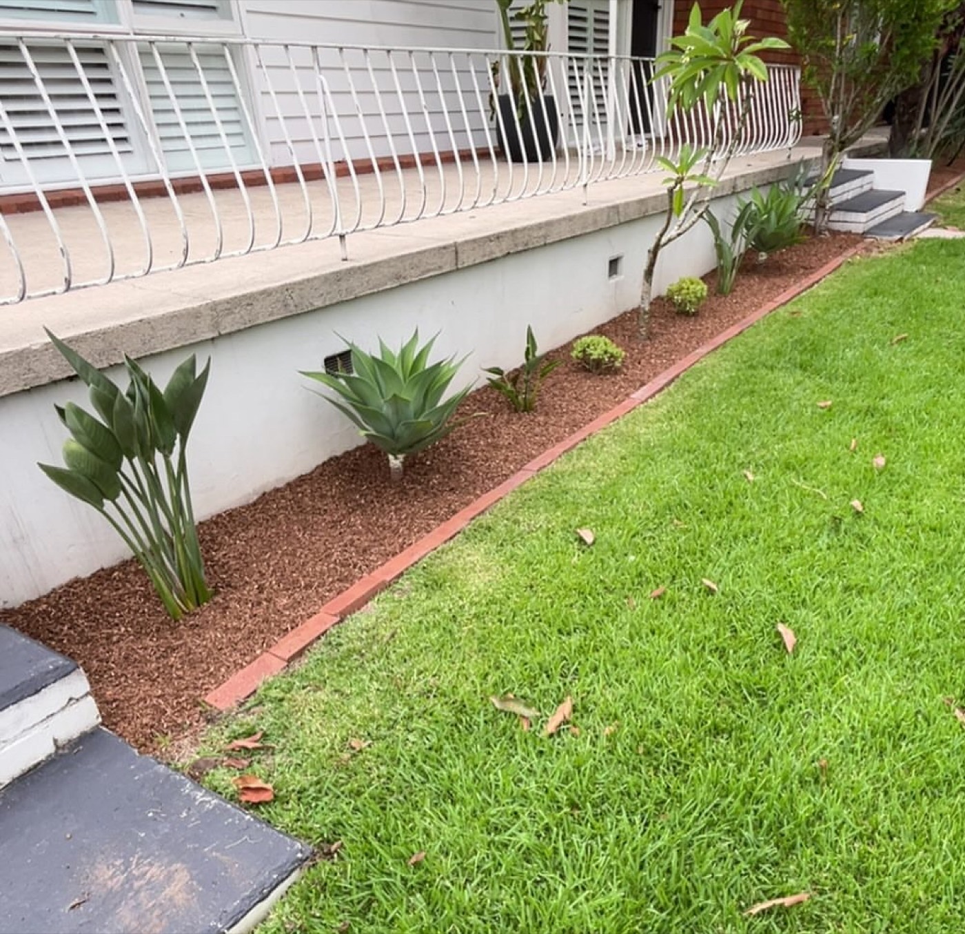 Garden bed under a verandah freshly mulched with red woodchip and planted, beside a green lawn