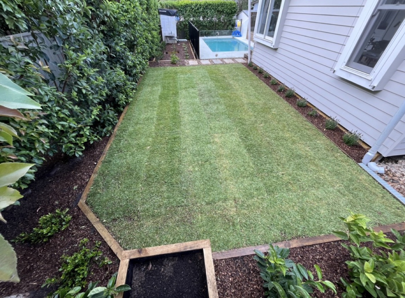 Freshly laid striped lawn framed by timber sleeper edging and mulched beds, with a pool behind
